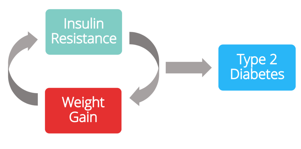 Insulin Resistance and its Impact on Weight Gain