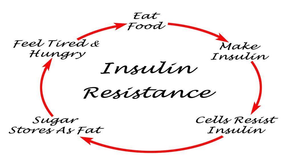 Insulin Resistance and its Impact on Weight Gain