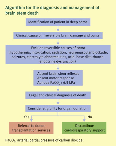Key Factors in Diagnosing Brain Stem Death