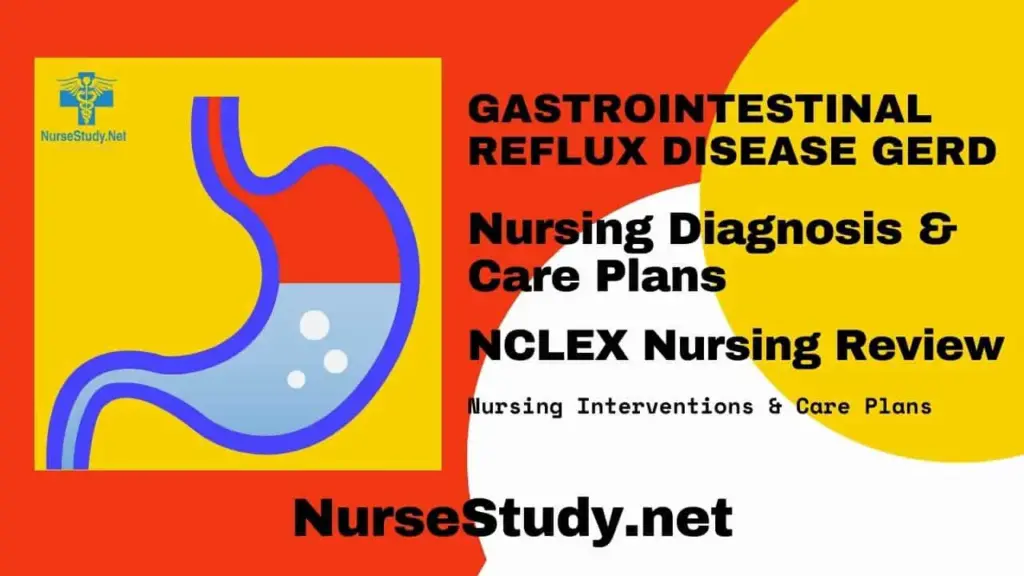 Key Nursing Considerations for GERD