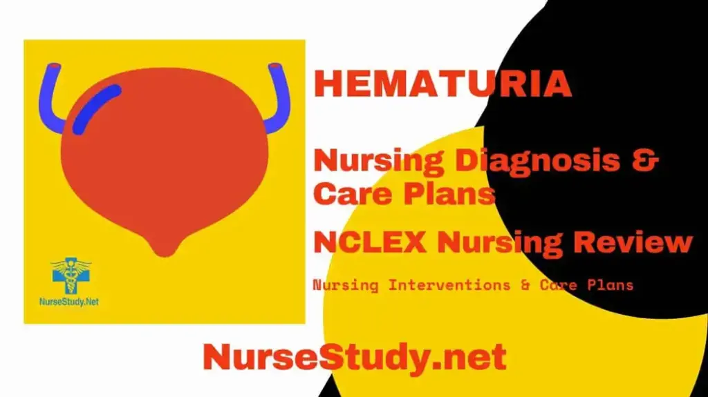 Key Points for Nursing Considerations in Managing Patients with Blood in Urine