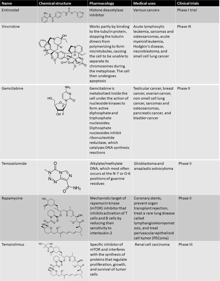 Latest Advances in Ewing Sarcoma Research