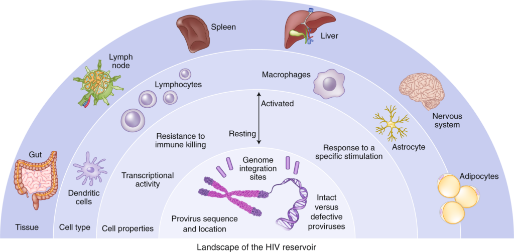 Latest Advances in HIV Infection Research