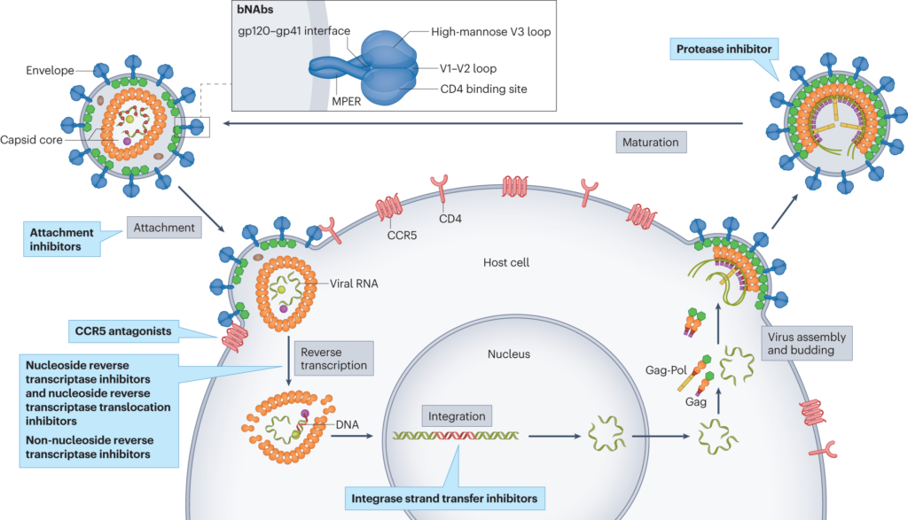 Latest Advances in HIV Infection Research