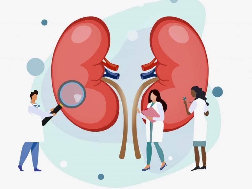 Latest Research on Kidney Disease