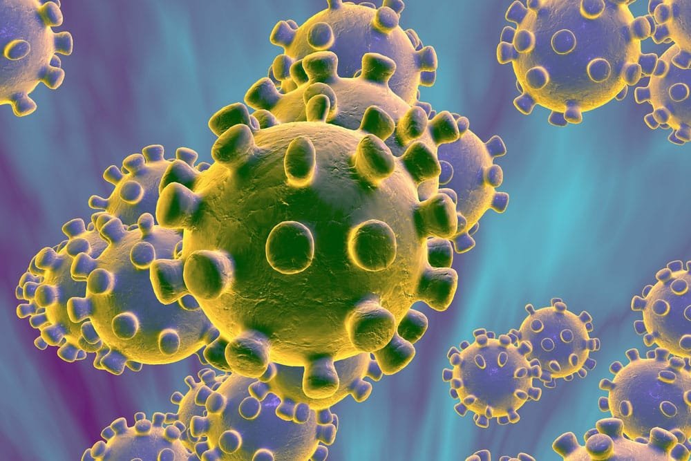 Latest Research on Middle East Respiratory Syndrome Coronavirus