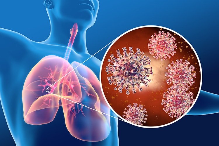 Latest Research on Middle East Respiratory Syndrome Coronavirus