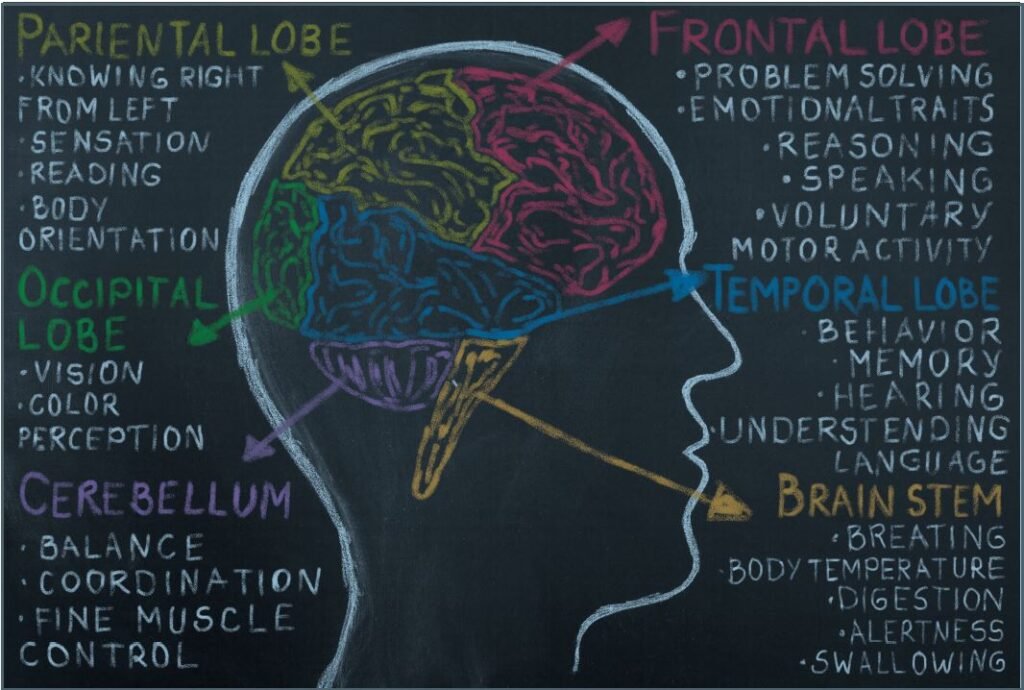 Living with Brain Tumors: Coping Strategies