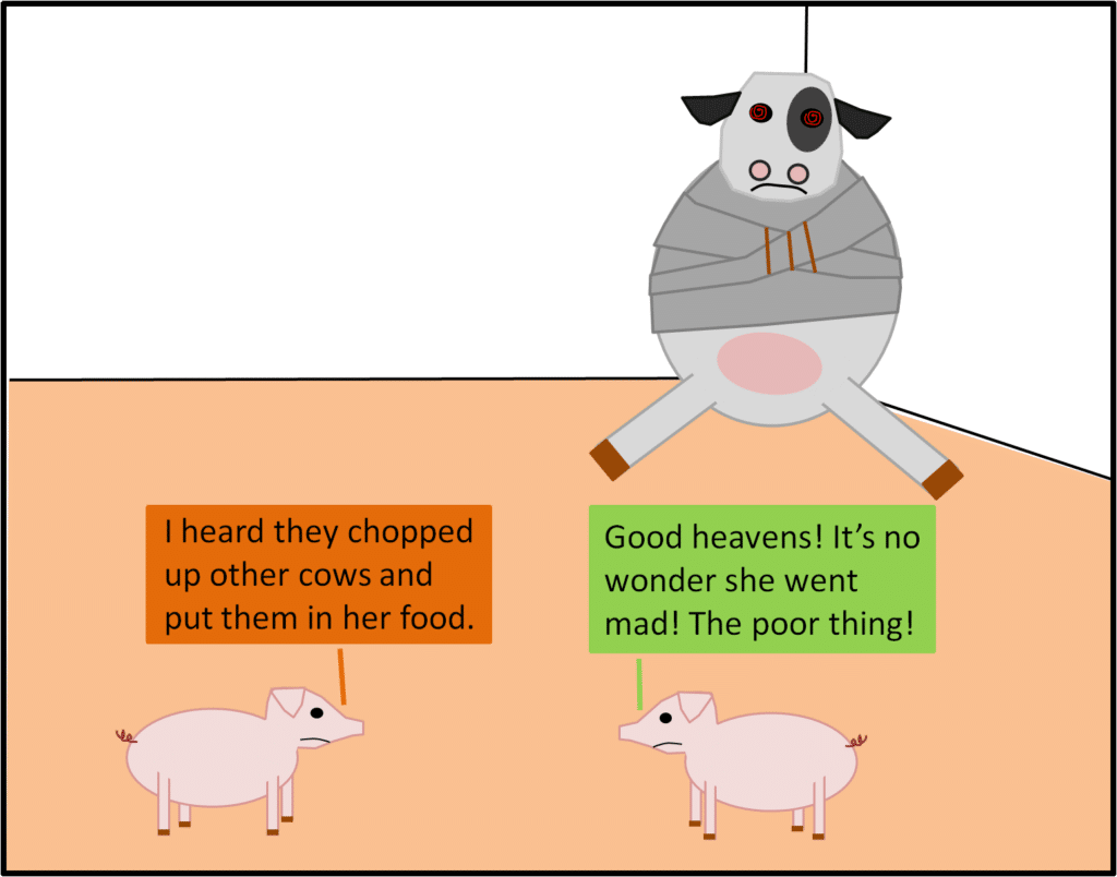 Mad Cow Disease: Causes and Risks