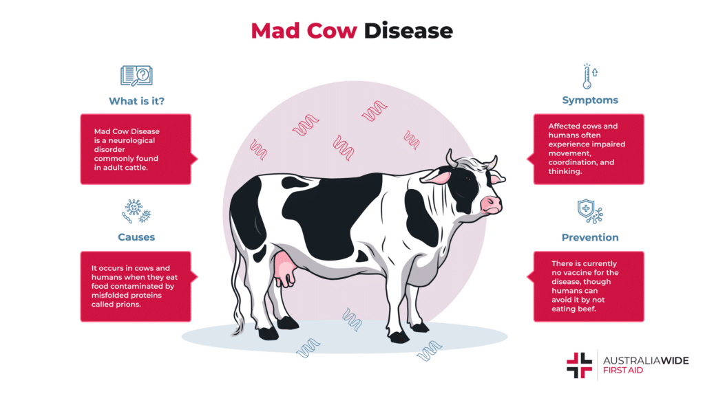 Mad Cow Disease: Causes and Risks