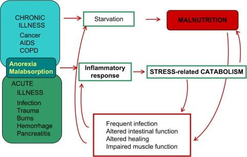 Malnutrition and its Relationship to Chronic Diseases