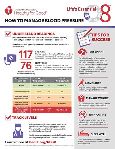 Managing High Blood Pressure: Medications and Strategies for Control