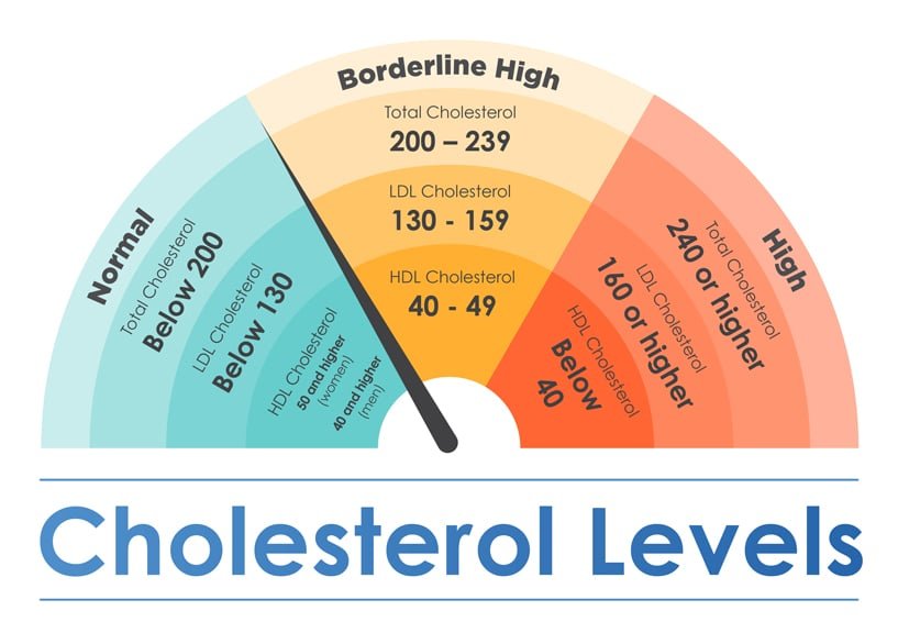 Managing High LDL Cholesterol Levels