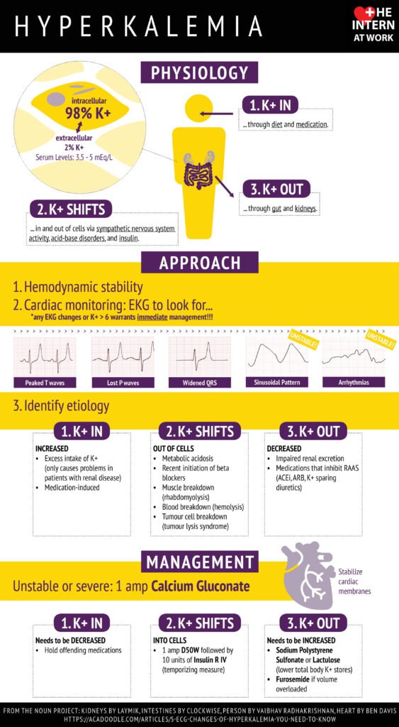 Managing Hyperkalemia through Diet and Medications