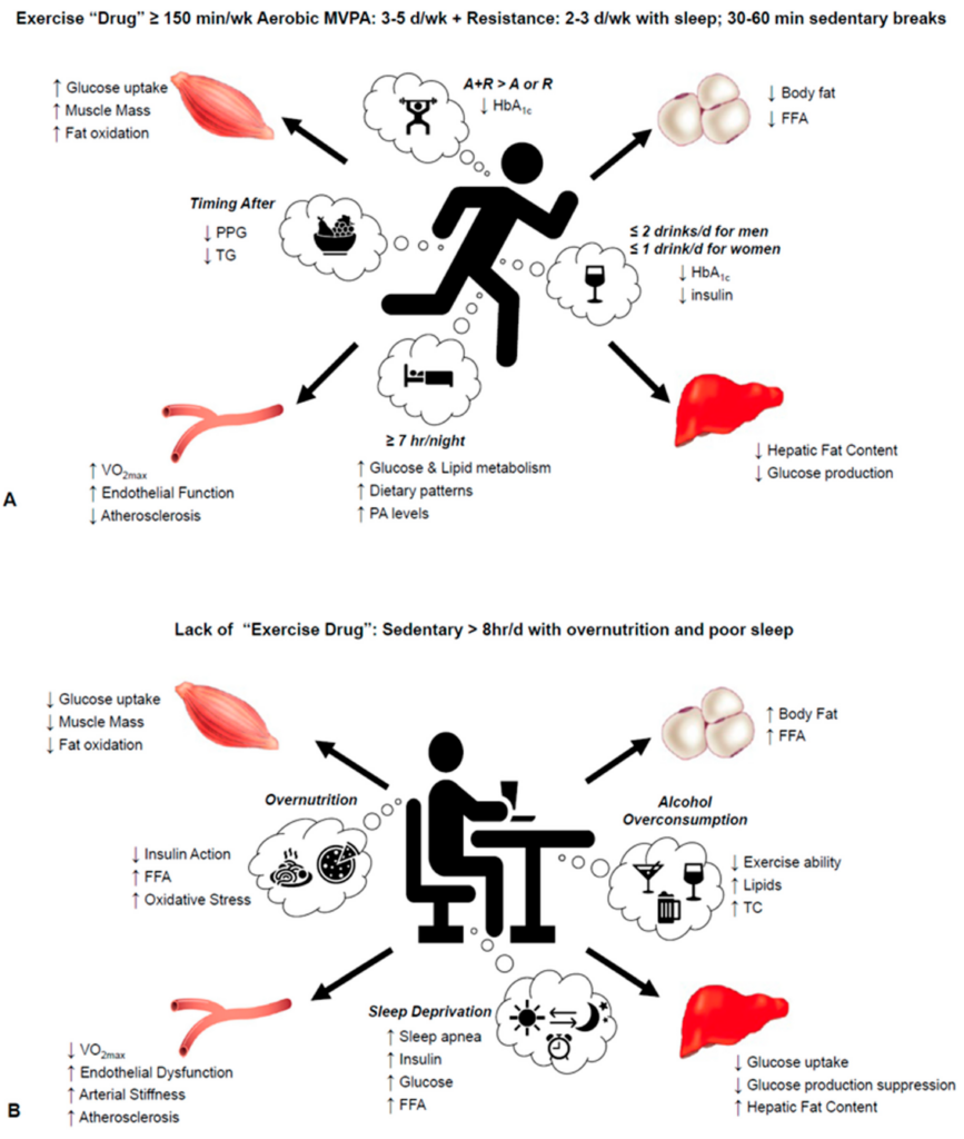 Managing Insulin Resistance: Lifestyle Changes and Medications