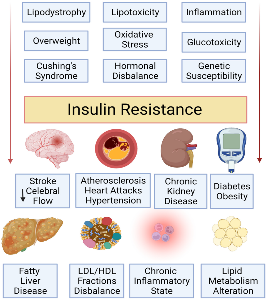 Managing Insulin Resistance: Lifestyle Changes and Medications