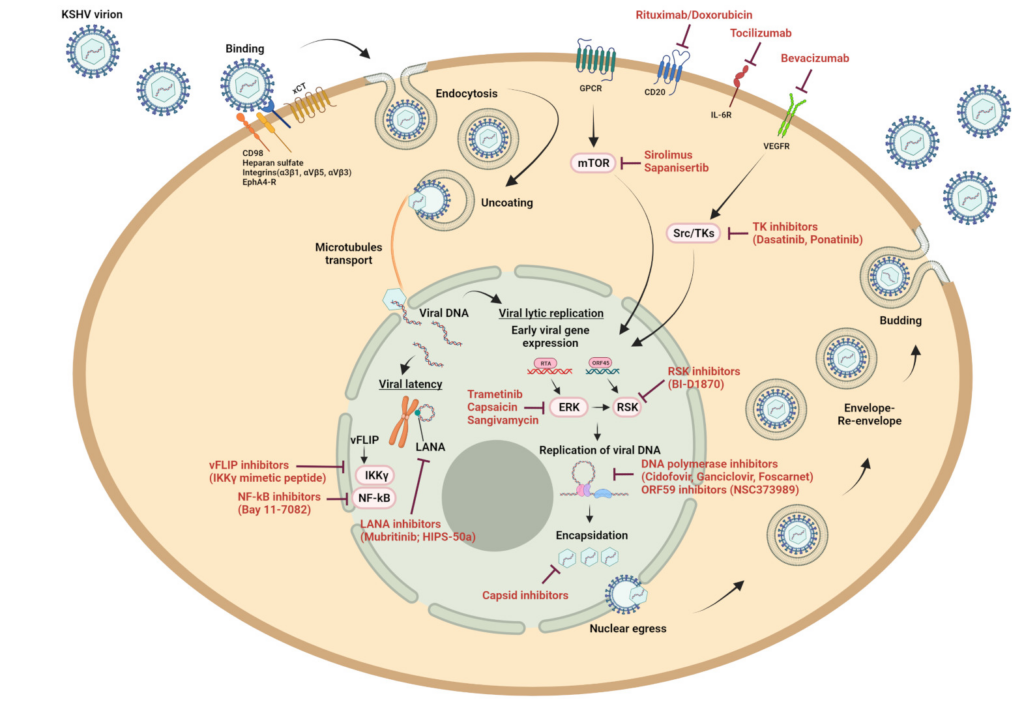 Managing Kaposis Sarcoma: Effective Treatment Strategies