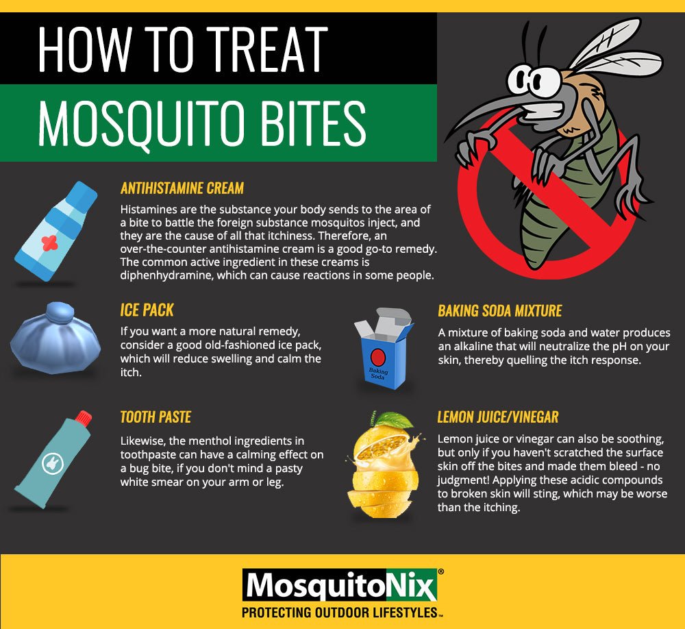 Natural Remedies for Soothing Insect Bites