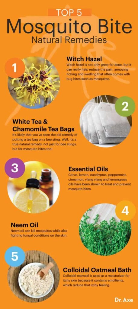 Natural Remedies for Soothing Insect Bites