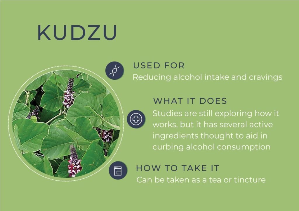Natural Remedy For Addiction