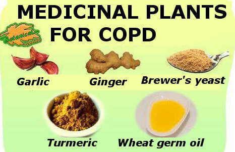 Natural Remedy For COPD-Chronic Obstructive Pulmonary Disease