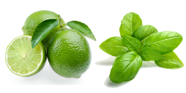 Natural Remedy For Epilepsy Natural Remedy For Epilepsy