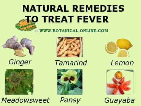 Natural Remedy For Fevers