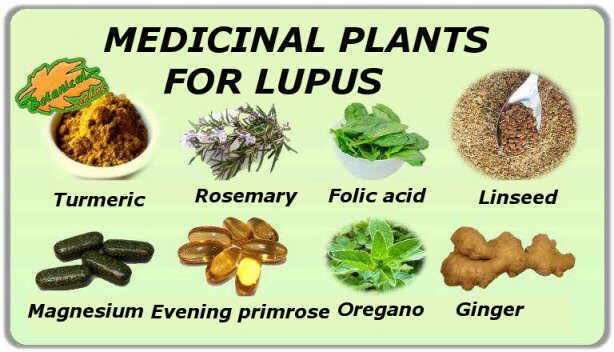 Natural Remedy For Lupus