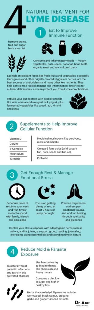 Natural Remedy For Lyme Disease