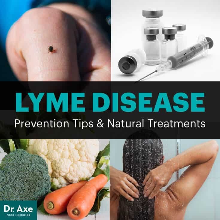 Natural Remedy For Lyme Disease