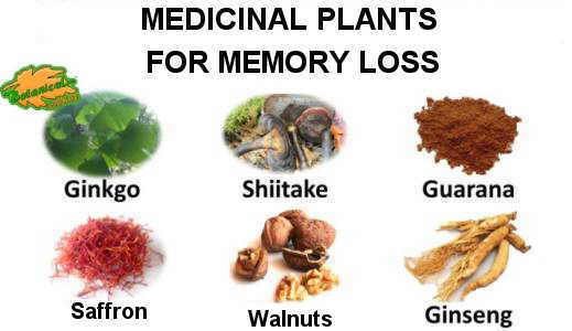 Natural Remedy For Memory Health