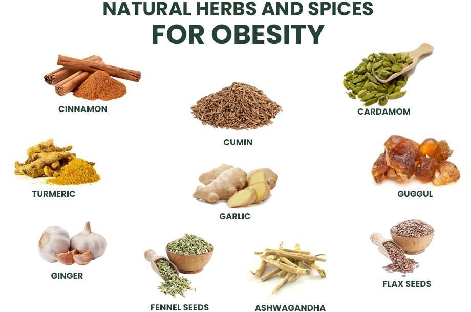 Natural Remedy For Obesity Natural Remedy For Obesity