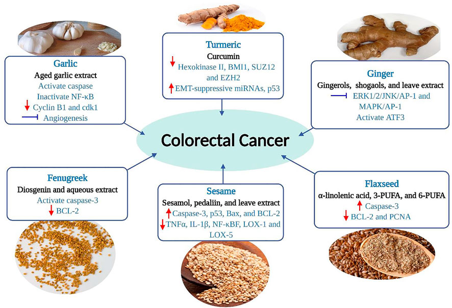 Natural Remedy For Polyps-Colon