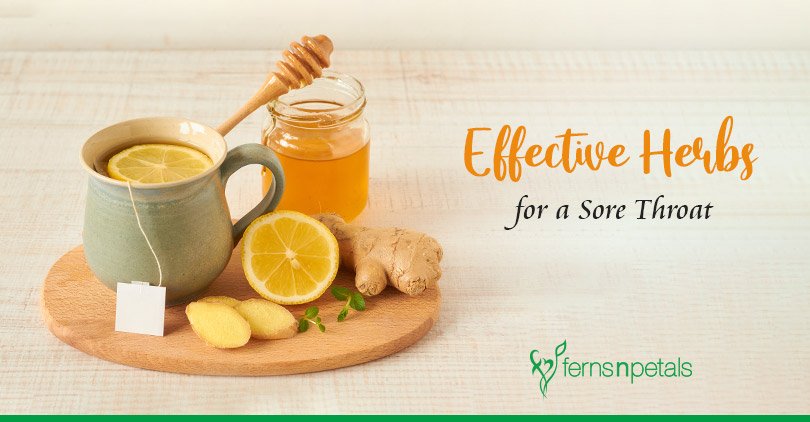 Natural Remedy For Sore Throat