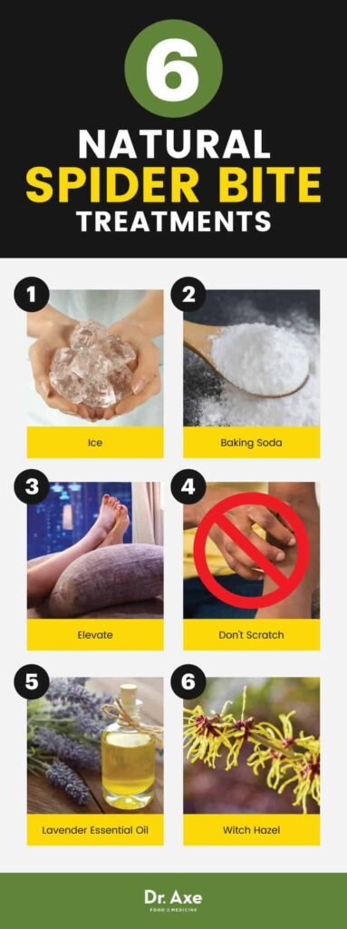 Natural Remedy For Spider Bites