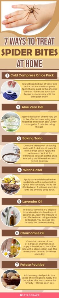 Natural Remedy For Spider Bites
