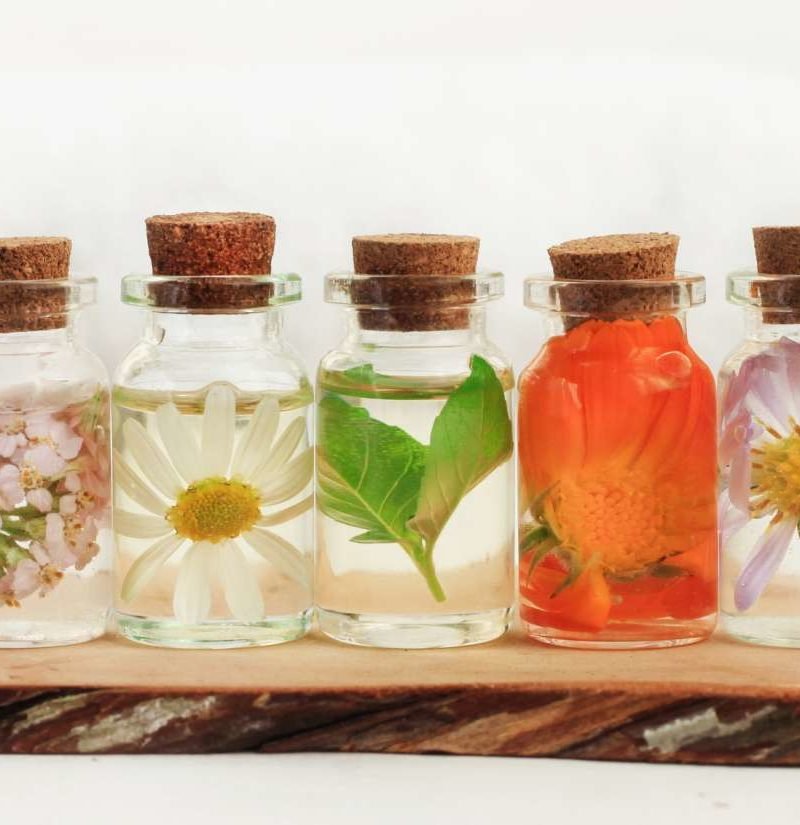 Natural Remedy For Zoster-Herpes Virus