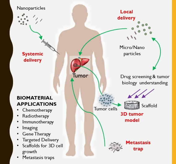 New Advances in Liver Cancer Research
