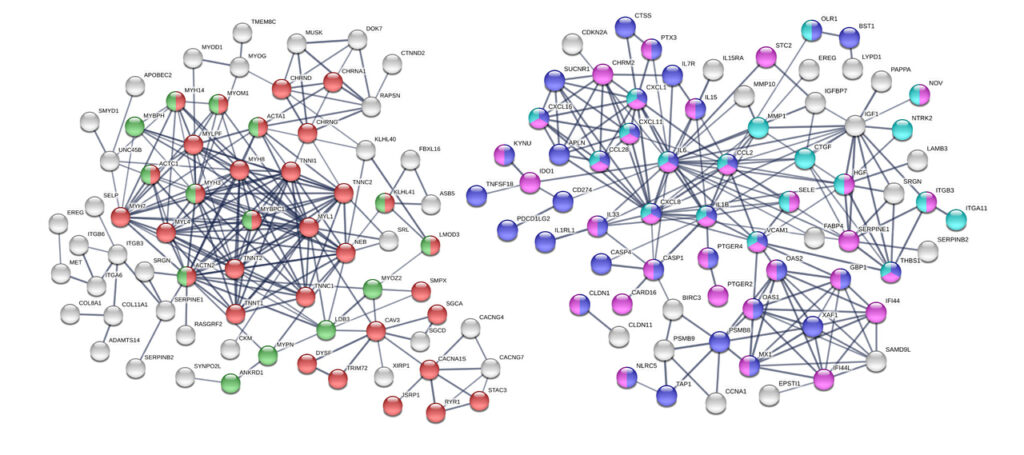 New Insights into Downs Syndrome