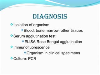 Nursing Considerations for Brucellosis