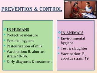 Nursing Considerations for Brucellosis