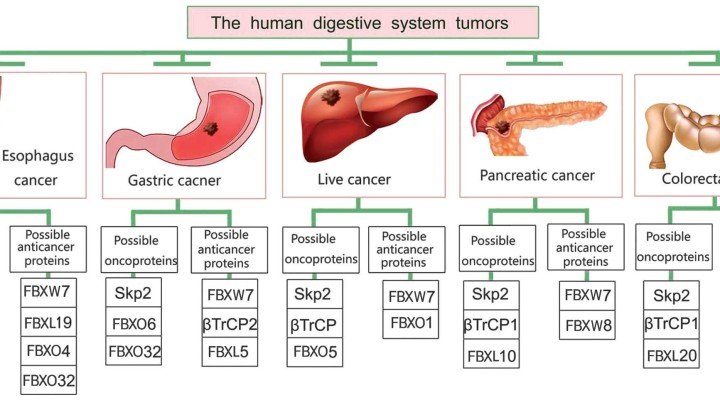 Nursing Considerations for Digestive Disorders