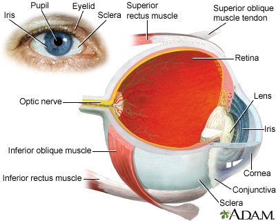 Nursing Considerations for Eye Twitching