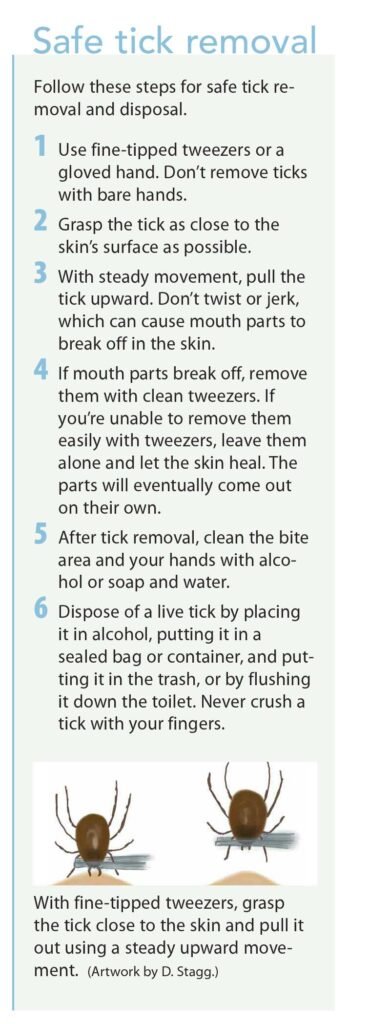 Nursing Considerations for Lyme Disease