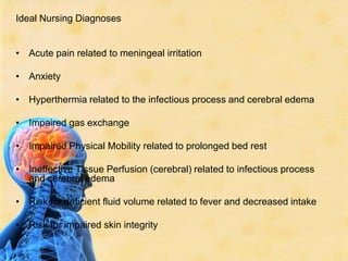 Nursing Considerations for Meningitis Management