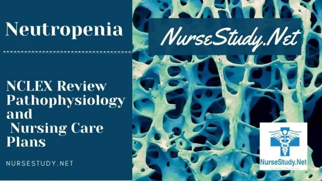 Nursing Considerations for Neutropenia