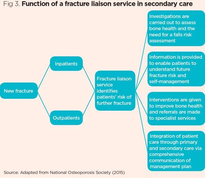 Nursing Considerations for Osteoporosis