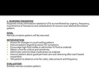 Nursing Considerations for Painful Urination