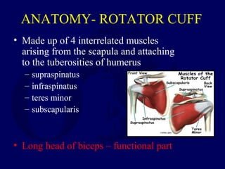 Nursing Considerations for Rotator Cuff Disorders
