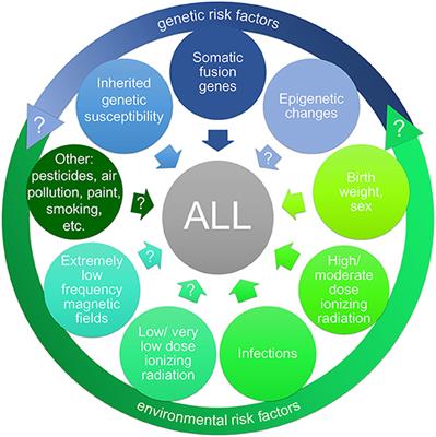 Preventing Acute Lymphoblastic Leukemia in Children